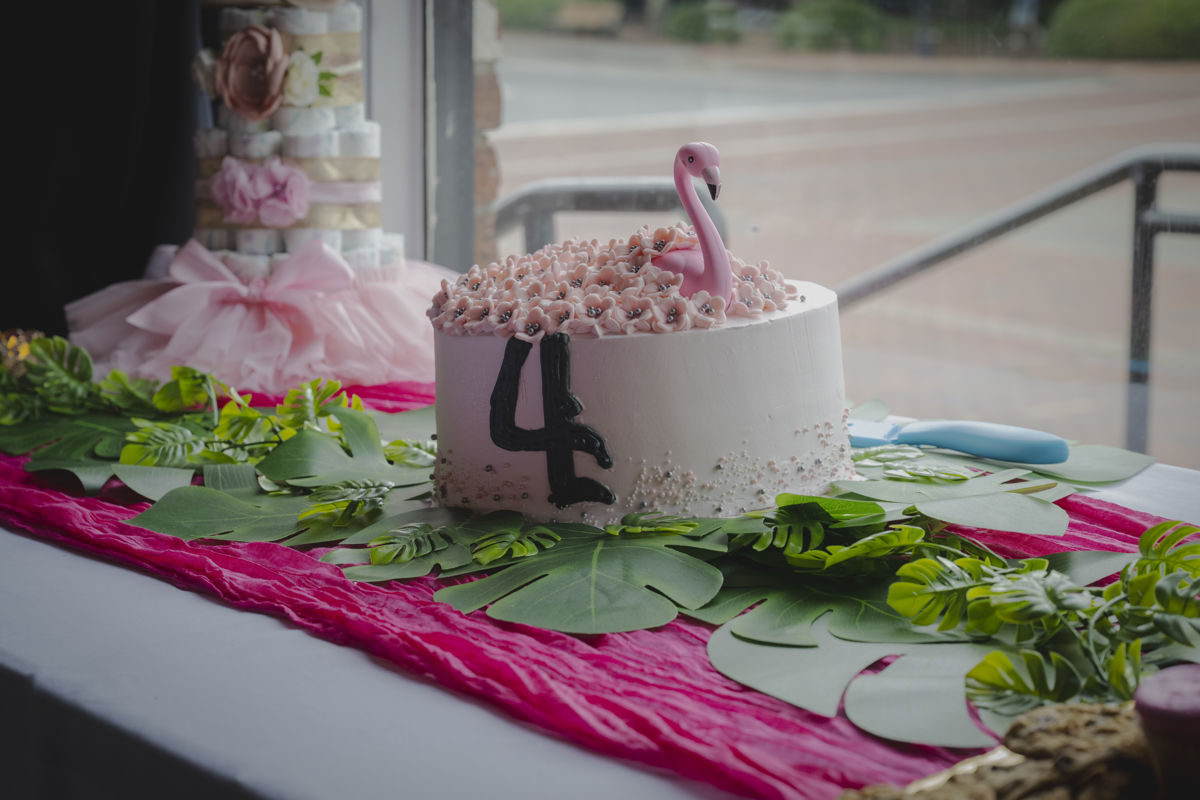 Baby Shower, Kennesaw, Georgia